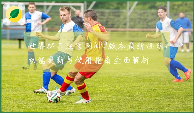 世界杯下注官网APP版本最新说明，功能更新与使用指南全面解析