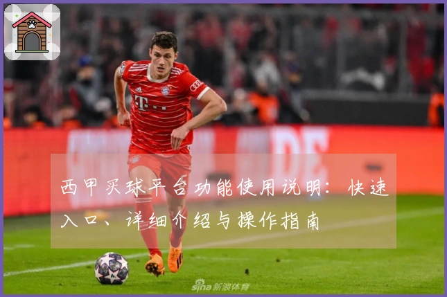 西甲买球平台功能使用说明：快速入口、详细介绍与操作指南