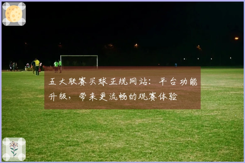 五大联赛买球正规网站：平台功能升级，带来更流畅的观赛体验