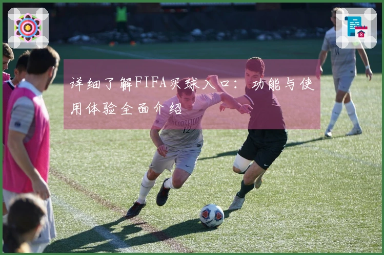 详细了解FIFA买球入口：功能与使用体验全面介绍