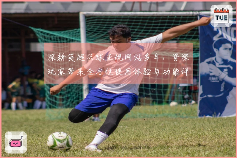 深耕英超买球正规网站多年，资深玩家带来全方位使用体验与功能详解