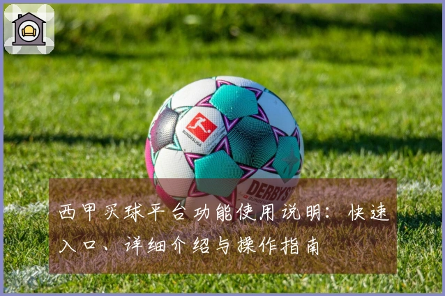 西甲买球平台功能使用说明：快速入口、详细介绍与操作指南
