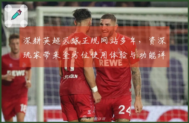 深耕英超买球正规网站多年，资深玩家带来全方位使用体验与功能详解