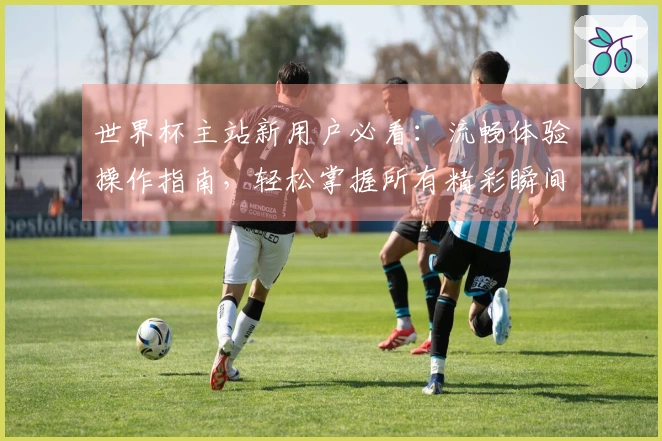 世界杯主站新用户必看：流畅体验操作指南，轻松掌握所有精彩瞬间
